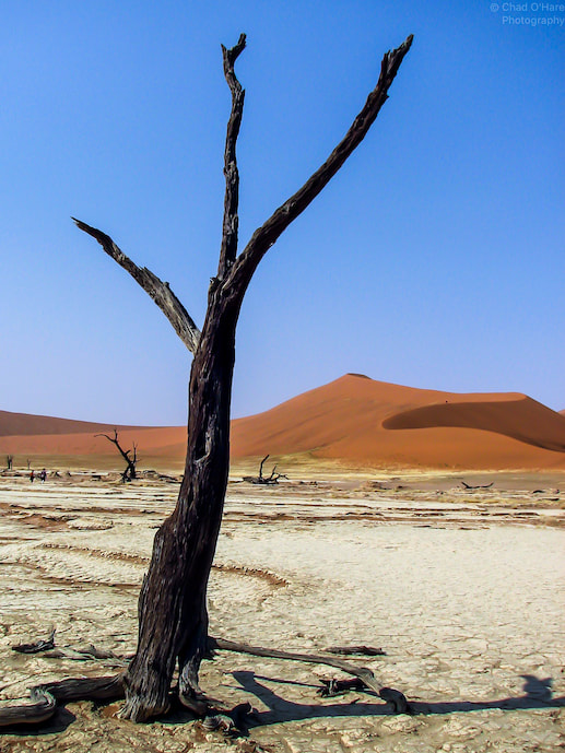 Namibia-Sossusvlei