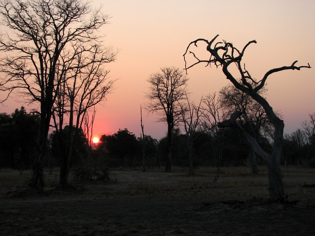 Zambia-Night